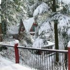 2003-12 White Christmas at Foxglove Farm (15)
